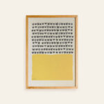 Shadow Medicine Package